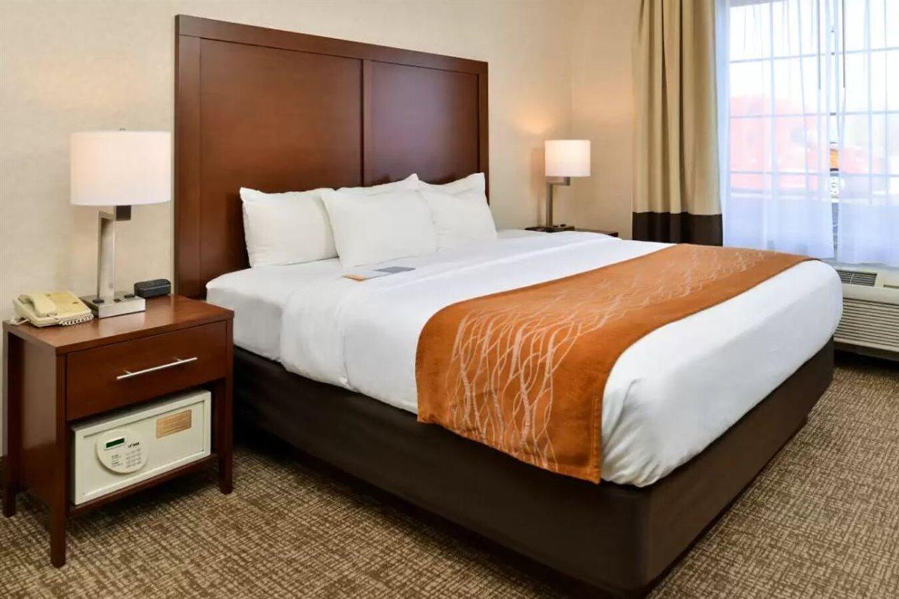 Comfort Inn & Suites Madison North Deforest Dış mekan fotoğraf