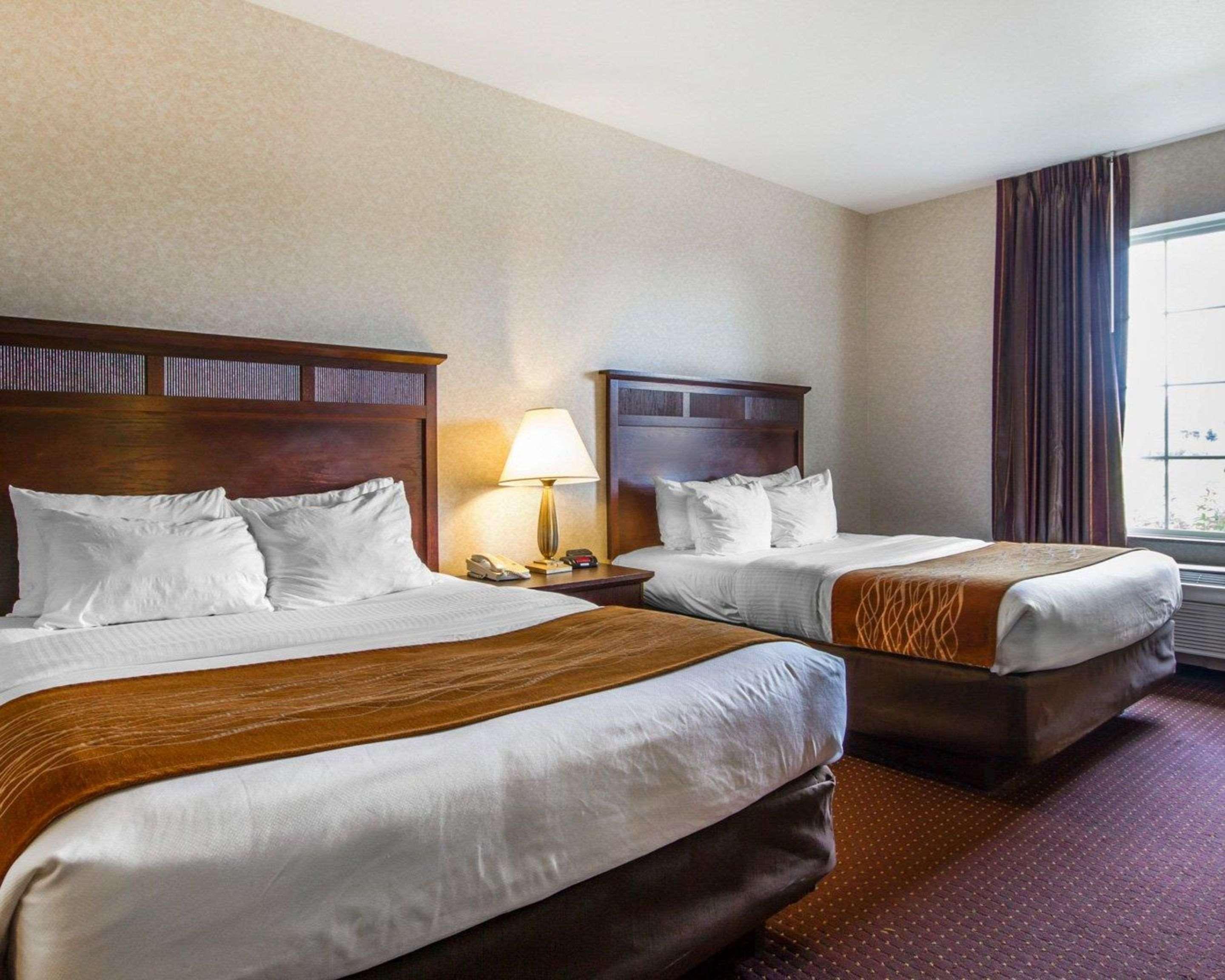 Comfort Inn & Suites Madison North Deforest Dış mekan fotoğraf