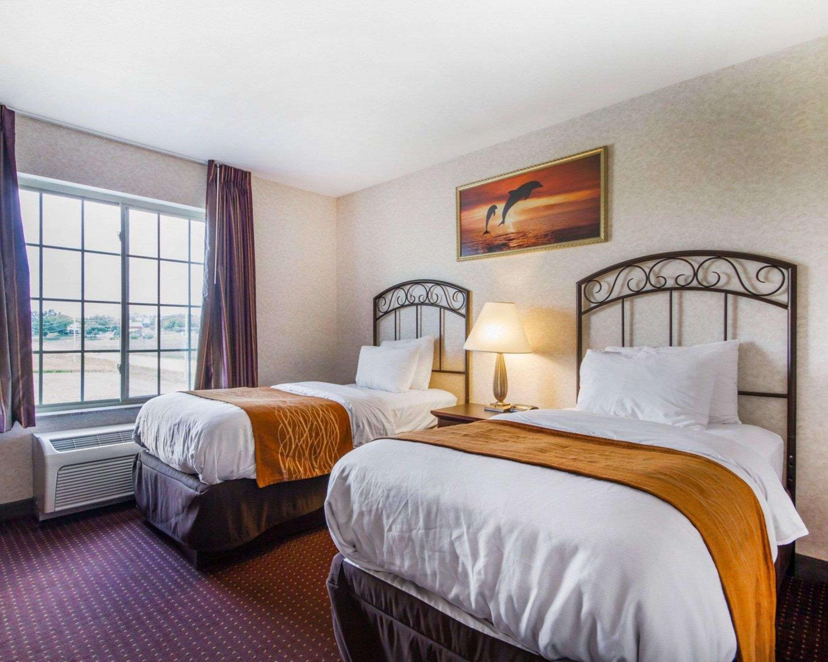 Comfort Inn & Suites Madison North Deforest Dış mekan fotoğraf